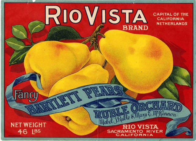 Rio Vista Brand Fancy Bartlett Pears crate label, Ruble Orchard, Sacramento River, California